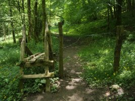 Atako sarrerako harpausoa