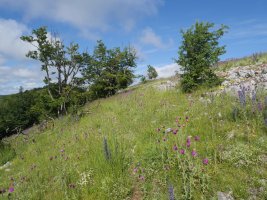 Mendebaldeko bizkarrera berriro, Gainsoil
