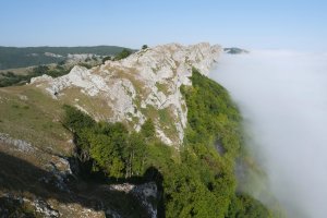 Ollideko Barga, Lizarraga aldeko mutur batetik ikusita