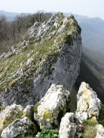 Mendebaldeko gandorra, Araba aldekoa