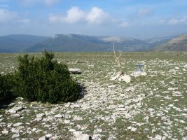 Elimendiko gain zabala