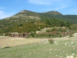 Hegoaldeko isurialdea, Argiñano aldeko bidetik