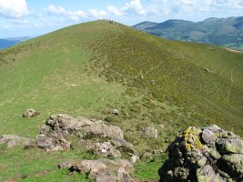 IEko muinoa altuera beretsukoa da