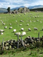 Buluntzako trikuharriaren inguruak