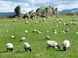 Buluntzako trikuharriaren inguruak
