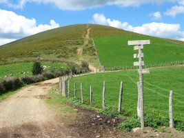 HEko bizkarra, Bilgozako lepotik