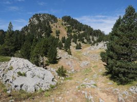 Lapazarra ekialdetik