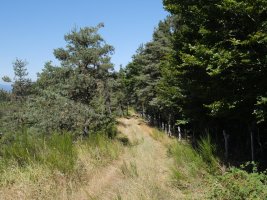 Migoletako iparraldeko bizkarrean behera