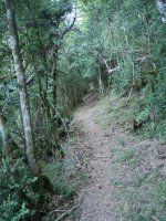 Kontrabandisten pasabidera gerturatzen