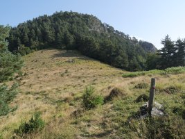 Ardibidegaineko iparraldeko lepoa