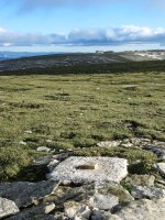 Hau izan daiteke tontorraren marka