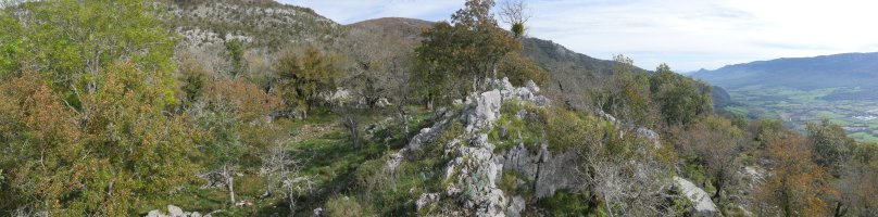 Laba tontorra mendebaldetik