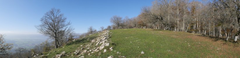 Azken txanpa, ekialdeko bizkarrean gora