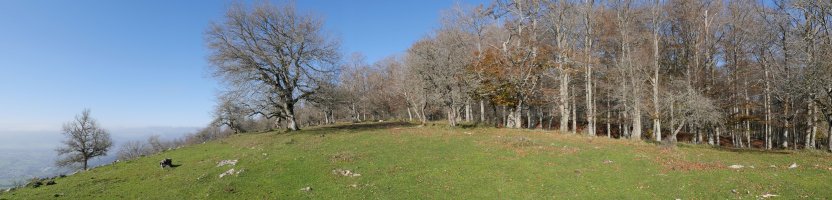 Eguterako gainaldea, Saldisgain