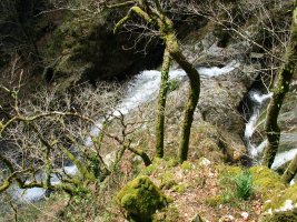 Erroiarriko urjauzia