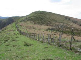 Izu, iparraldeko bizkarretik