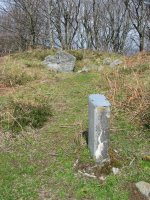 Pagolleta trikuharria