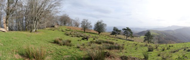 Bidango Gaina, ekialdeko bizkarra