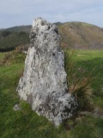 Bidango Gaina zutarria