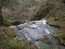 Jauziaren burua, Erroiarri