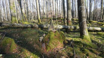 Deskarga mendiaren tontorra