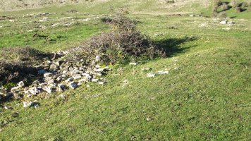 Anuelen 2 tumulua, Andia