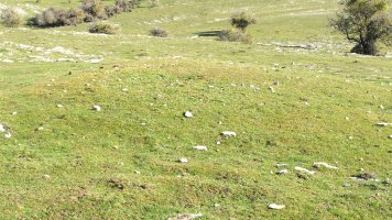 Iguzpegi 4 etxola hondoa, Andia