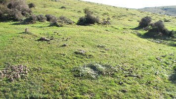 Iguzpegi 7 etxola hondoa, Andia