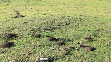 Usalderen 3 etxola hondoa, Andia