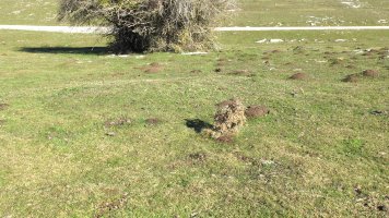 Usalderen 3 etxola hondoa, Andia