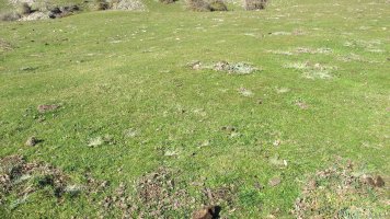 Sosaportillo 4 etxola hondoa, Andia