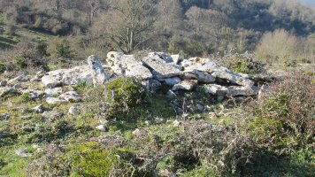 Usaleze 2 tumulua, Andia