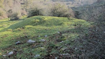 Usaleze 1 tumulua, Andia