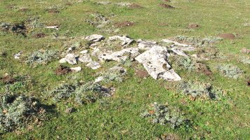 Agin 2 tumulua, Andia