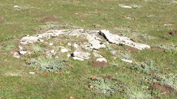 Agin 2 tumulua, Andia