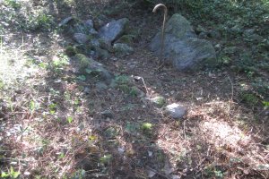 Dólmen Atsoagureta  (Junio-2021)