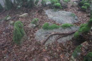 Dólmen Azkonazulueta  (09-2021)