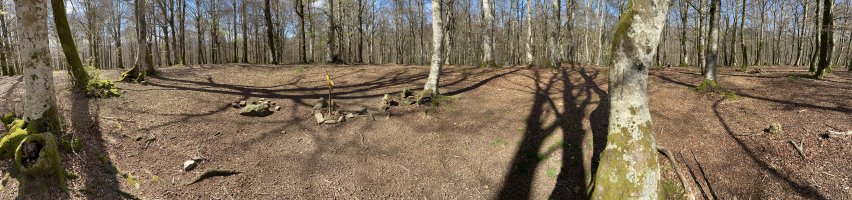 Mendebaldeko Tontorra