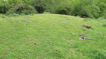 Ingiriko Portillua etxola hondoa, Andia