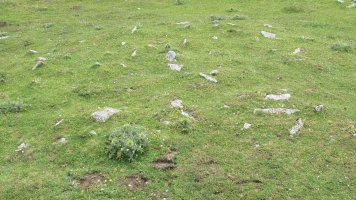 Ingiri 2 tumulua, Andia