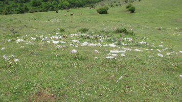 Ingiri 8 tumulua, Andia