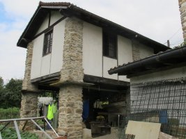 Gorotzenea garaia, Alegia