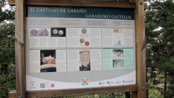 Garañoko Gazelua, Saldise-Ollo