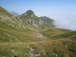 Kartxelako IEko lepoan, Sardekagainari begira