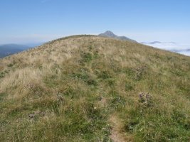 Gaztarrigaina tontorra ekialdetik