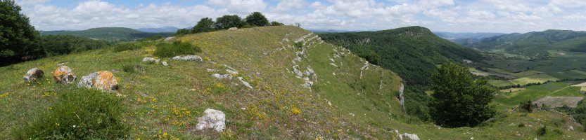 Kapitate tontorra HMtik