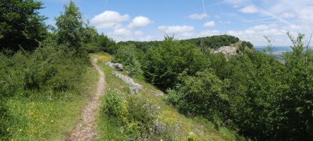 Txandi aldera igotzen ekialdetik