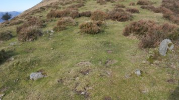 Beltzuntza harrespila