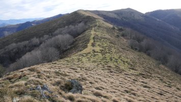 Beltzuntzatik Komizko gaina aldera begira