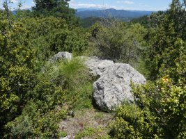 Valdepeña trikuharria 1